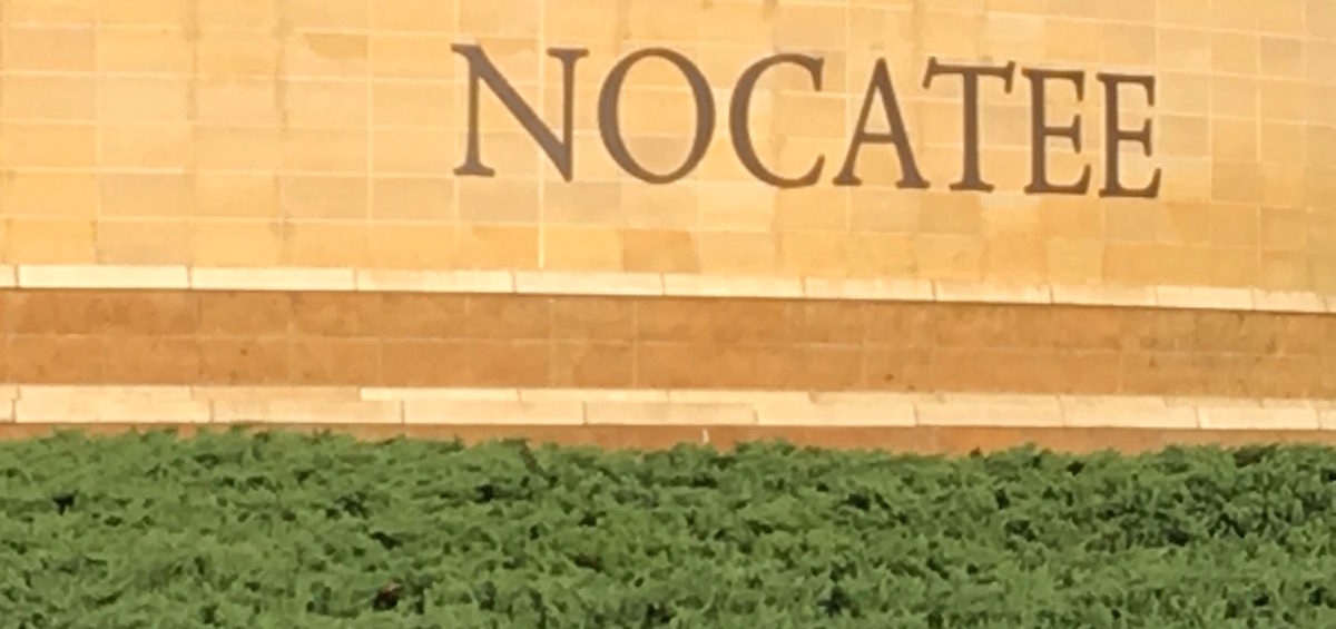 Divorce and Family Law Lawyer Nocatee