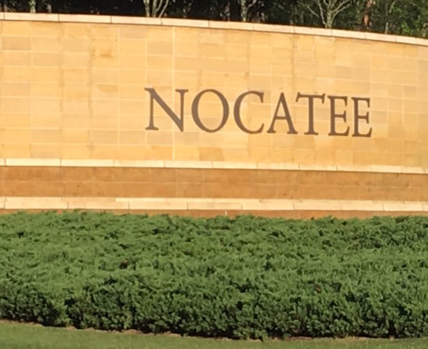 Divorce and Family Law Lawyer Nocatee